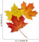 Basic Autumn Leaves Wall Decal