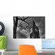 Grey-scale Big Ben Wall Mural
