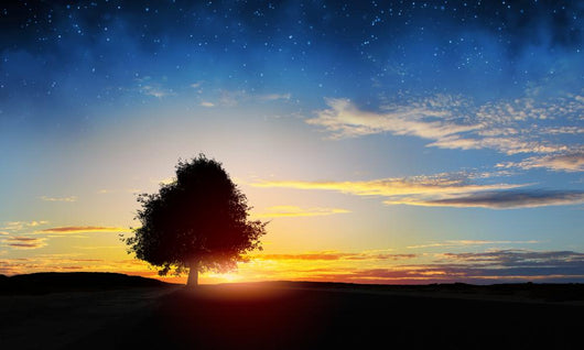 Natural Landscape 2 Wall Decal