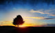 Natural Landscape 2 Wall Decal