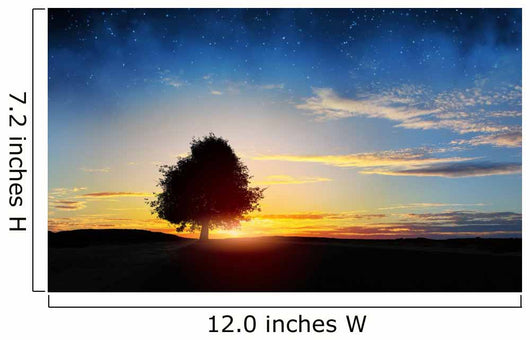 Natural Landscape 2 Wall Decal
