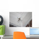 Writing Spider Wall Mural