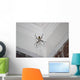 Writing Spider Wall Mural