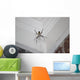 Writing Spider Wall Mural