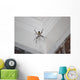 Writing Spider Wall Mural
