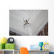 Writing Spider Wall Mural