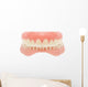 Human Jaw Teeth Wall Decal