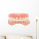 Human Jaw Teeth Wall Decal