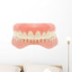 Human Jaw Teeth Wall Decal
