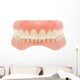 Human Jaw Teeth Wall Decal