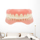 Human Jaw Teeth Wall Decal