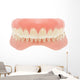 Human Jaw Teeth Wall Decal