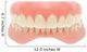 Human Jaw Teeth Wall Decal