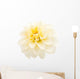White Dahlia Wall Decal