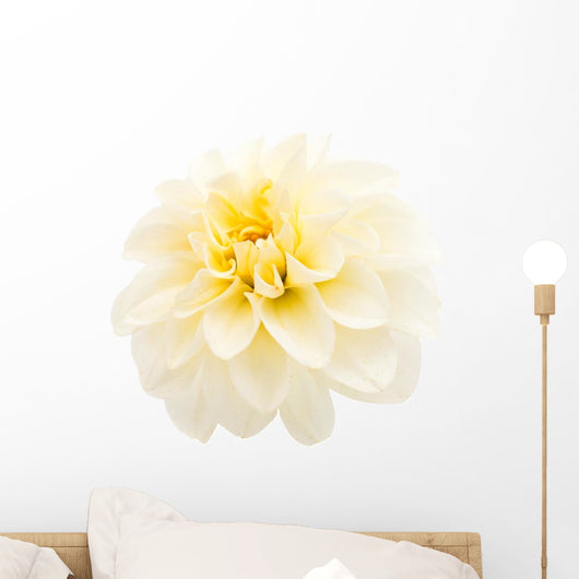 White Dahlia Wall Decal