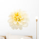White Dahlia Wall Decal