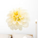 White Dahlia Wall Decal