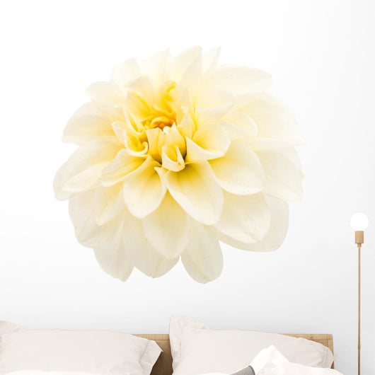 White Dahlia Wall Decal