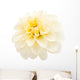 White Dahlia Wall Decal