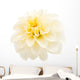 White Dahlia Wall Decal