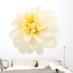 White Dahlia Wall Decal