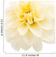 White Dahlia Wall Decal