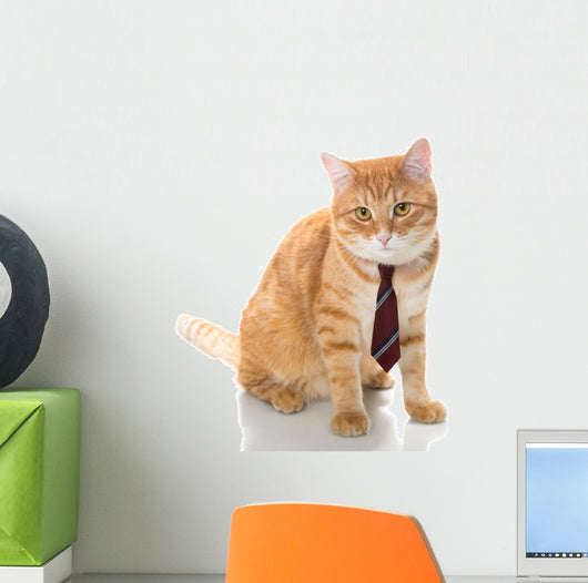 Serious Cat with Tie Wall Decal