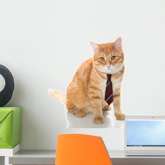 Serious Cat with Tie Wall Decal