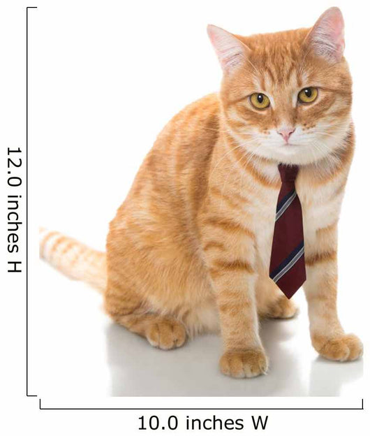Serious Cat with Tie Wall Decal