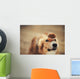 border collie dog keeps cake on her nose Wall Mural