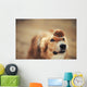 border collie dog keeps cake on her nose Wall Mural