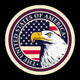 American Bald Eagle Against USA Flag Background. Wall Decal