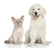 Cat And Dog Wall Decal