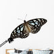 Brown Butterfly Wall Decal