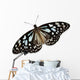 Brown Butterfly Wall Decal