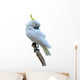 Sulphur Crested Cockatoo Wall Decal
