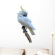 Sulphur Crested Cockatoo Wall Decal