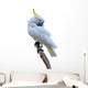 Sulphur Crested Cockatoo Wall Decal