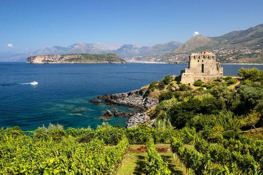 San Nicola Arcella (Cs) Torre Crawford Wall Decal