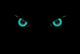 Halloween Wall Decal 2