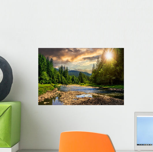 Forest River with Stones Wall Decal