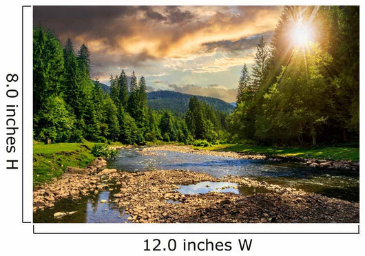 Forest River with Stones Wall Decal