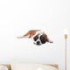 Cute Saint Bernard Purebred Wall Decal