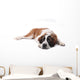Cute Saint Bernard Purebred Wall Decal