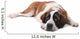 Cute Saint Bernard Purebred Wall Decal