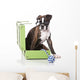 Boxer Dog at Studio Wall Decal