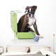 Boxer Dog at Studio Wall Decal