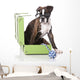 Boxer Dog at Studio Wall Decal