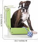Boxer Dog at Studio Wall Decal