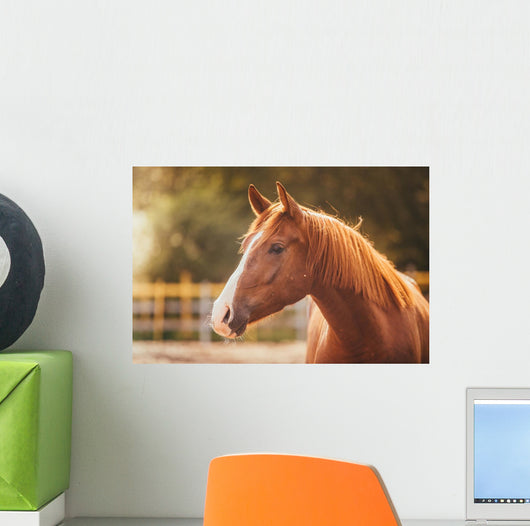 Horse Paddock Outdoors Wall Decal